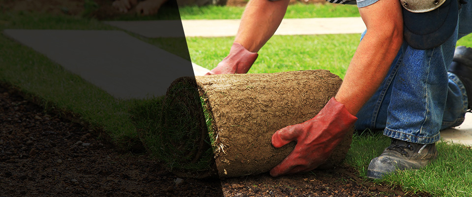 Stoneville Landscapers